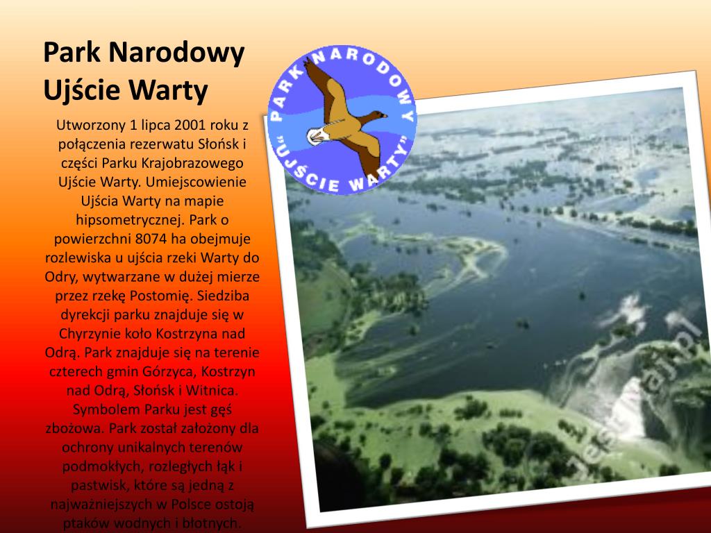 Parki Narodowe W Polsce Prezentacja Dla Dzieci PPT - Parki narodowe w Polsce PowerPoint Presentation, free download