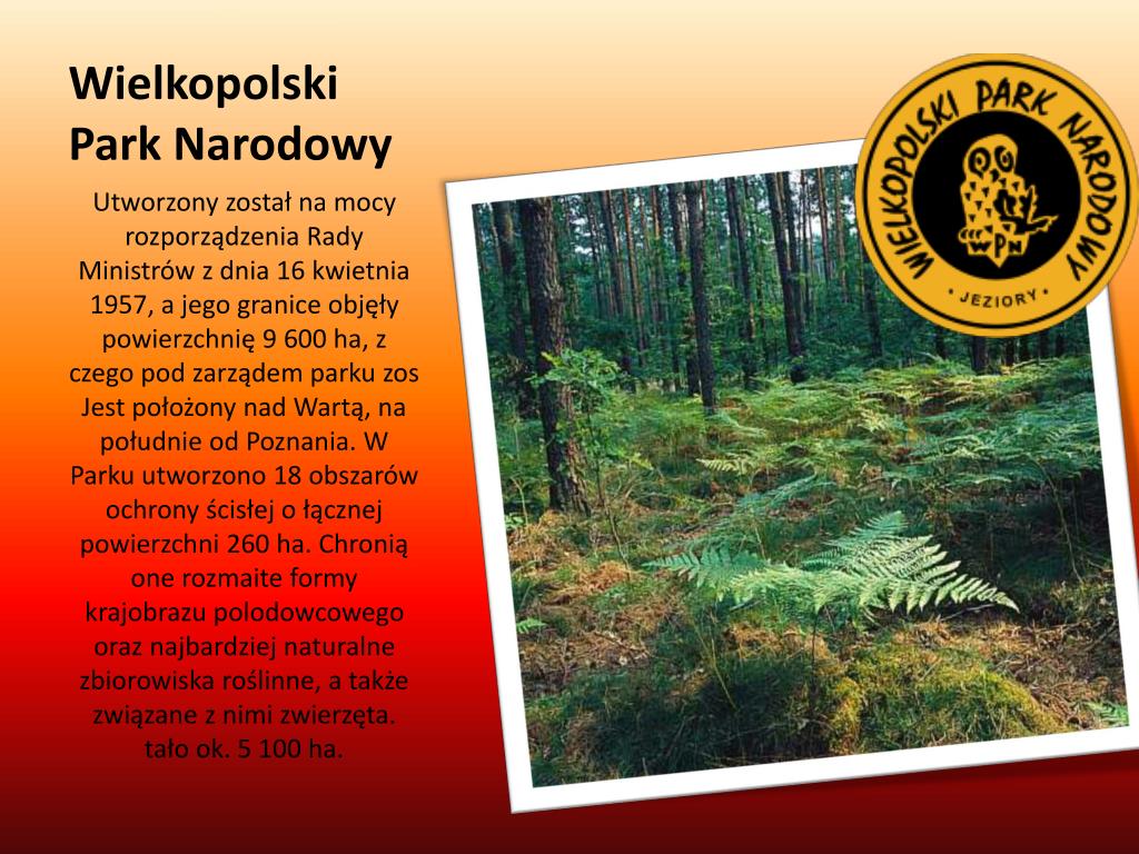 Parki Narodowe W Polsce Prezentacja Dla Dzieci PPT - Parki narodowe w Polsce PowerPoint Presentation, free download