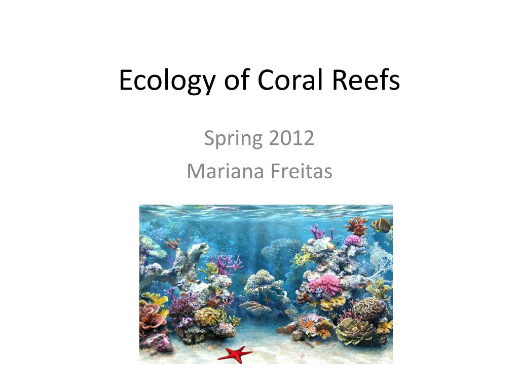 Ppt Ecology Of Coral Reefs Powerpoint Presentation Free Download Id 2109579