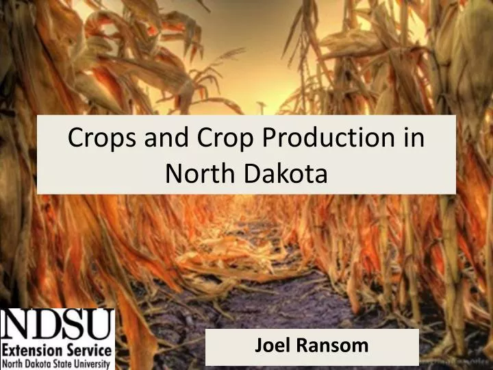 ppt crops and crop production in north dakota powerpoint crops ppt
