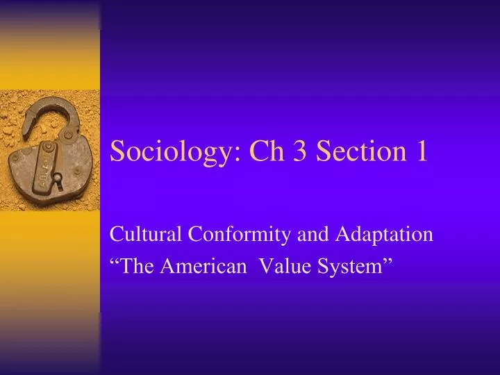 sociology ch 3 section 1 n.
