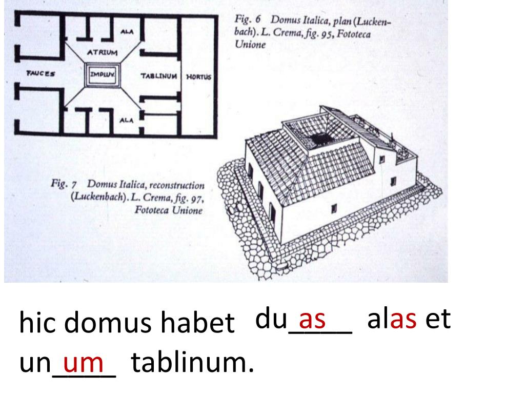 Domus Example PPT - Noun/Adjective agreement with the Roman house PowerPoint ...