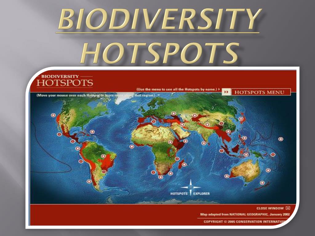 essay on biodiversity hotspot