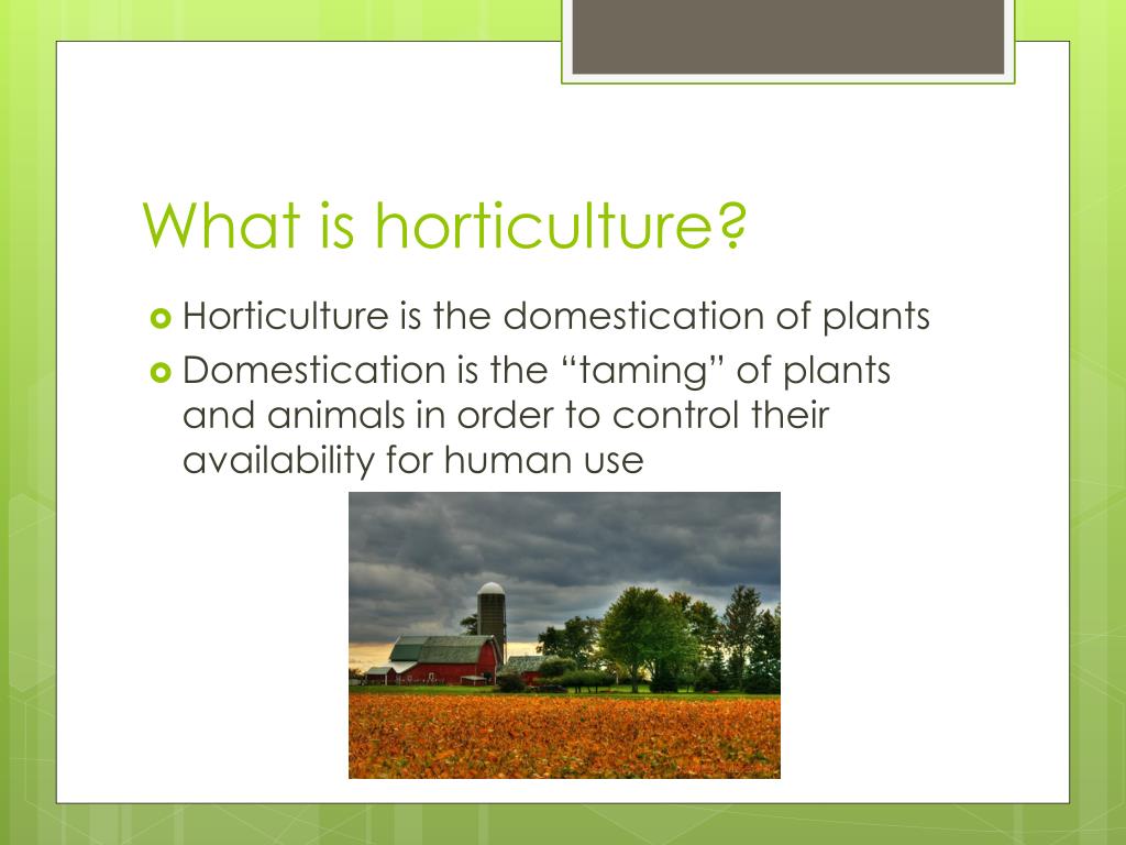 What is horticultural society