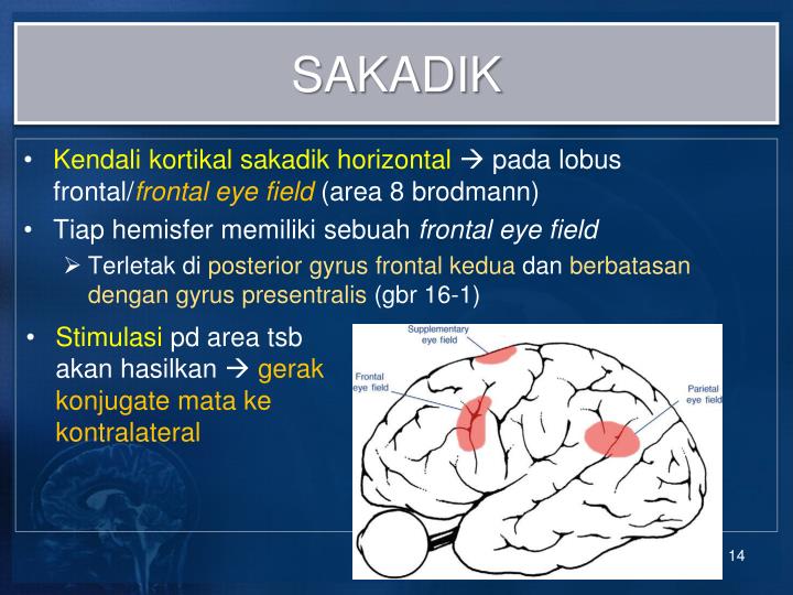 PPT Eye Movement Disorders Conjugate Gaze Abnormalities PowerPoint
