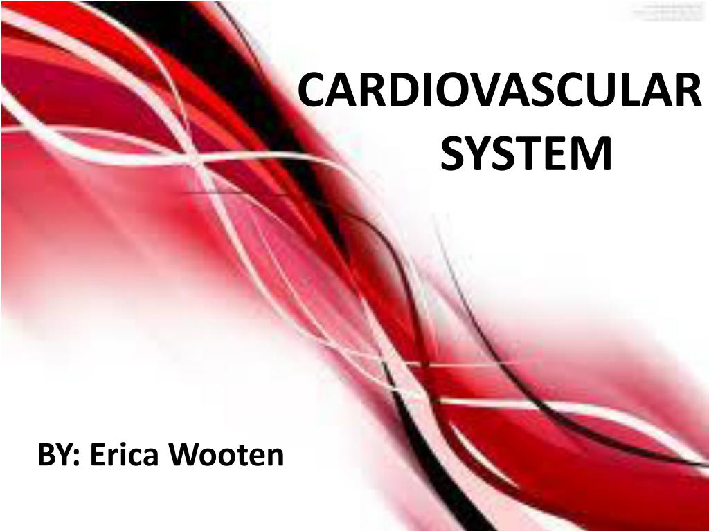 cardiovascular system powerpoint presentation