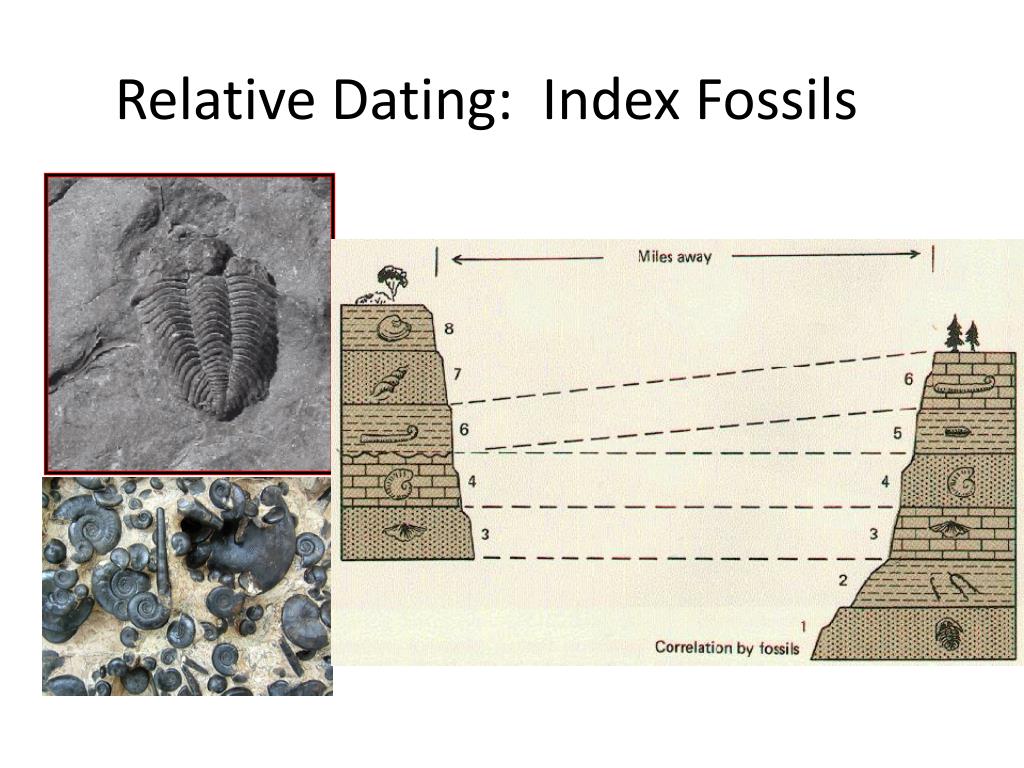 relative dating index fossils