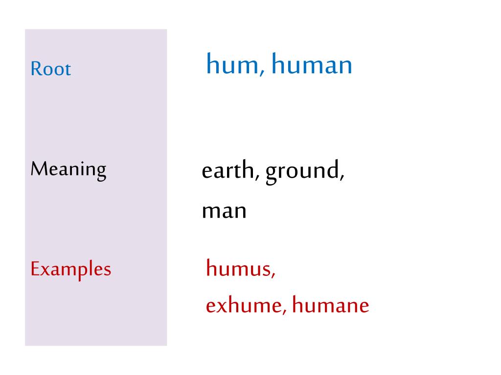 PPT Root Meaning Examples PowerPoint Presentation, free download ID
