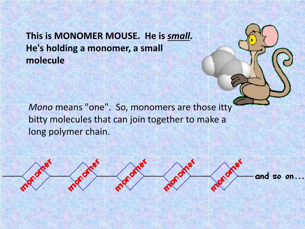 Мономер белка ответ