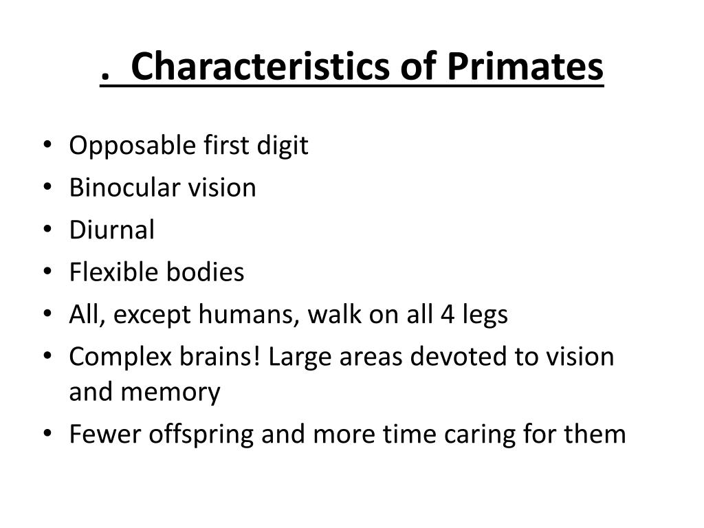 PPT - Primate Evolution PowerPoint Presentation - ID:2117082