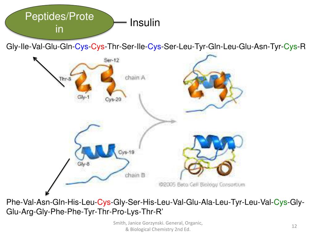 PPT CHAPTER 21 Amino Acids, Proteins, & Enzymes General, Organic