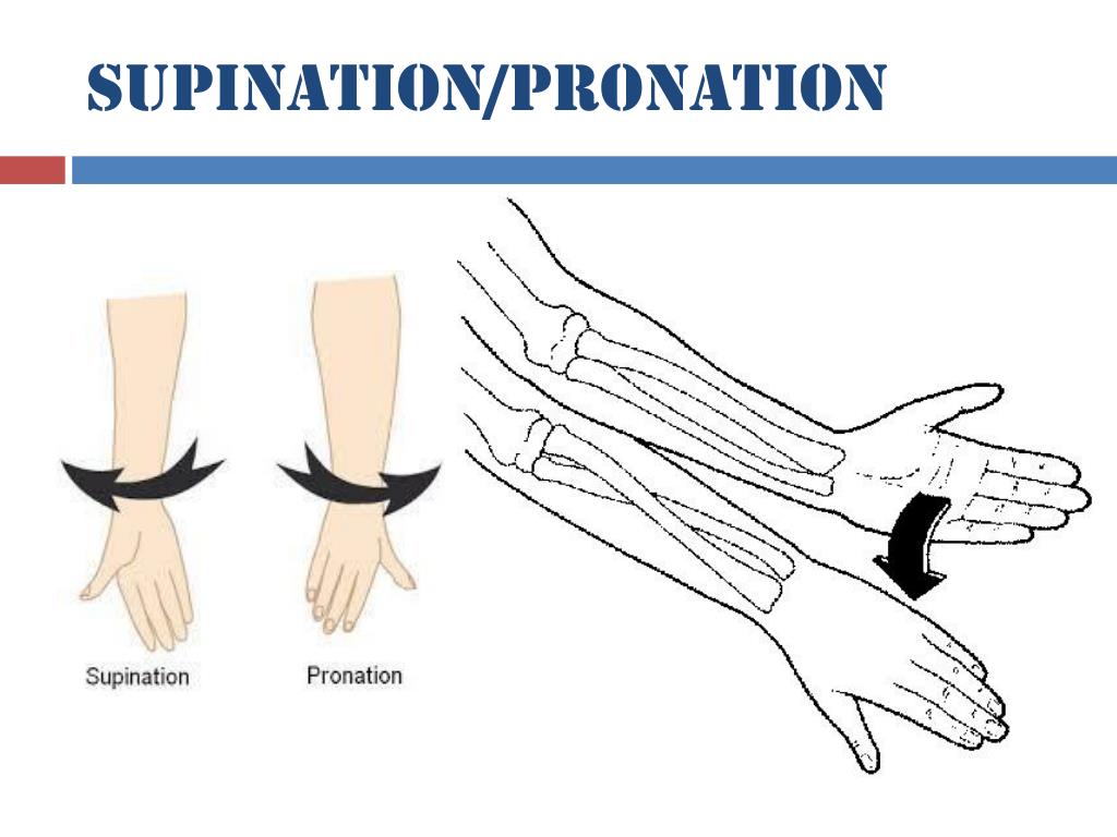 PPT - Joints and Bone Injuries PowerPoint Presentation, free download