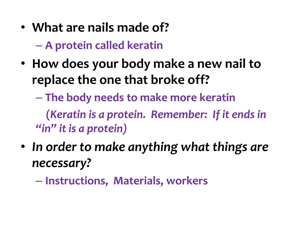 What Are Nails Made Of and Why Do We Have Them? | Holland & Barrett