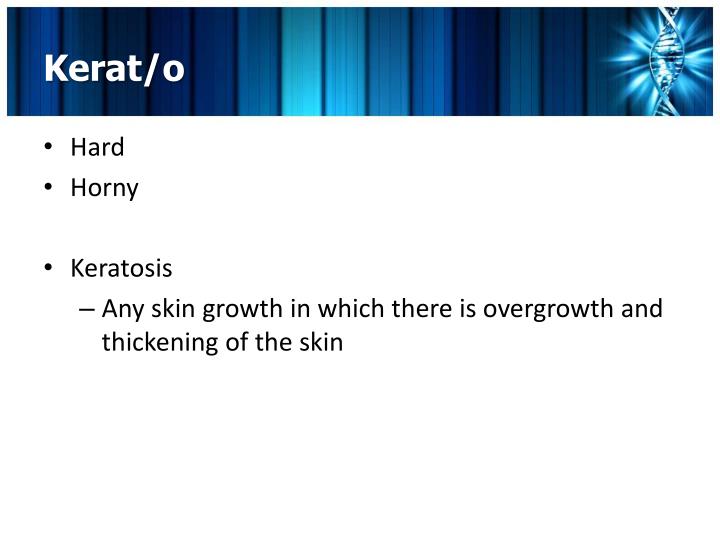 PPT Chapter 12 Skin The Integumentary System PowerPoint Presentation
