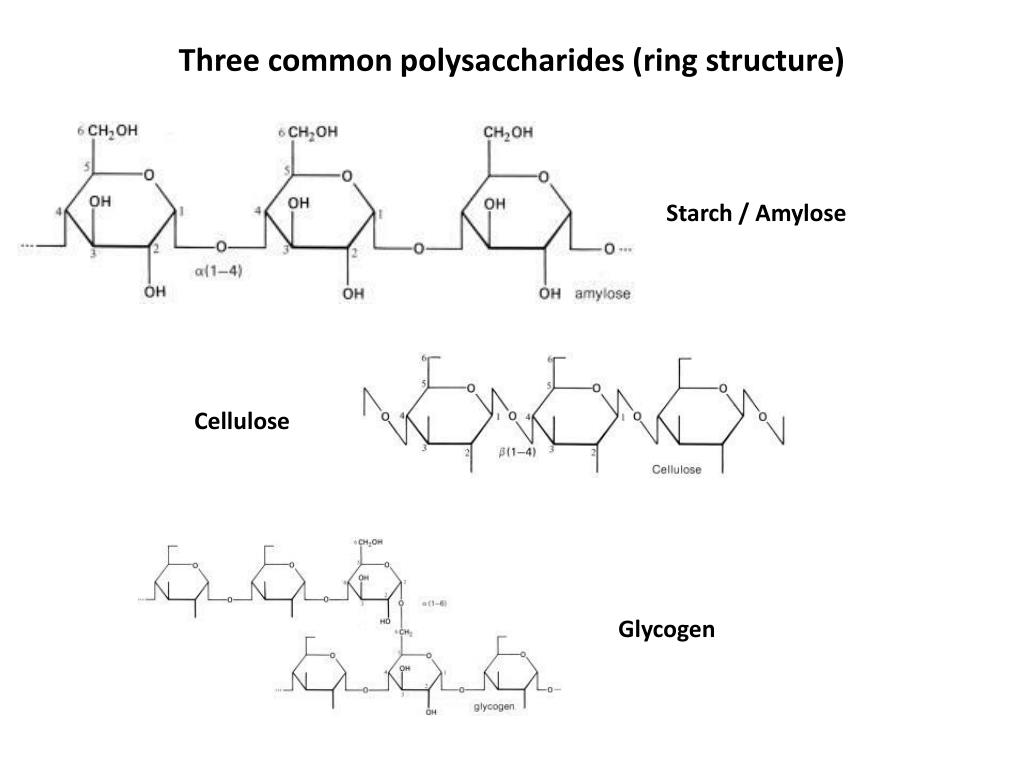 PPT CARBOHYDRATE PowerPoint Presentation Free Download ID 2120096