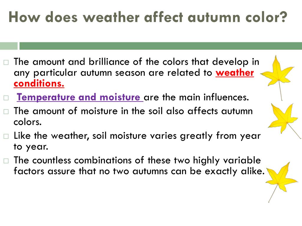 PPT Seasonal Change PowerPoint Presentation Free Download ID 2120263 ppt-seasonal-change-powerpoint-presentation-free-download-id-2120263
