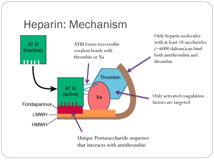 Mecanismo de acao da herceptina