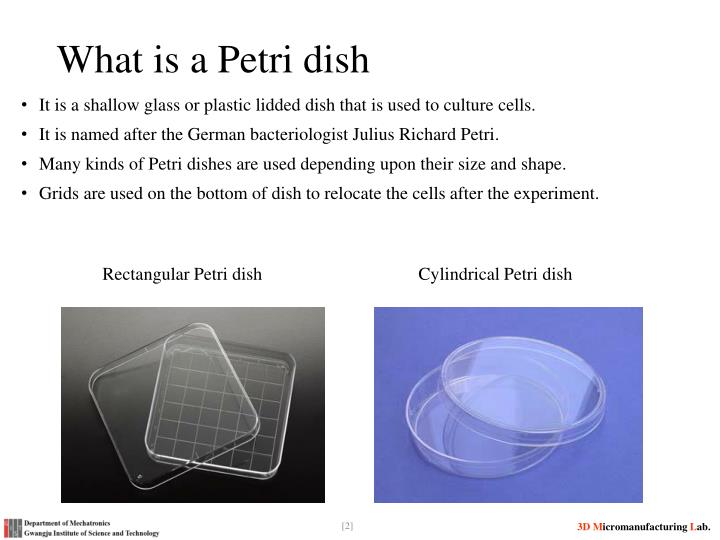 PPT Petri dish PowerPoint Presentation ID2121311