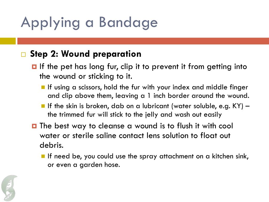 PPT - Bandaging PowerPoint Presentation, free download - ID:2122107
