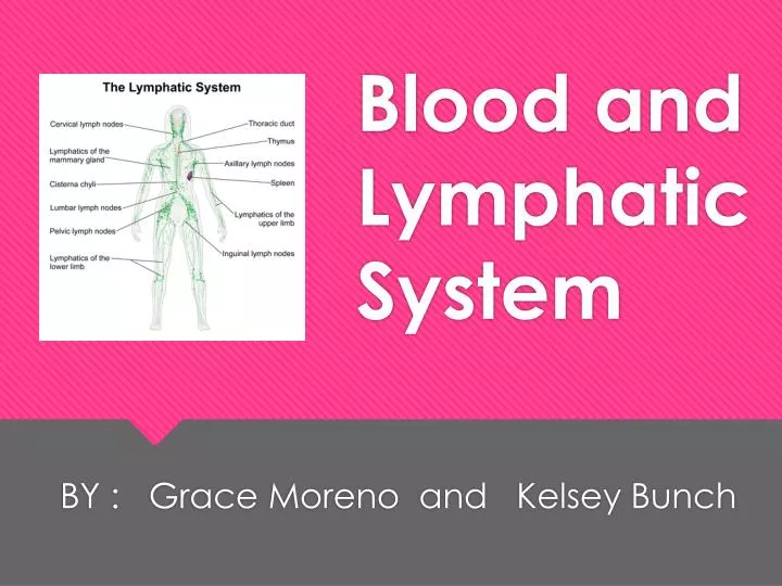 Ppt Blood And Lymphatic System Powerpoint Presentation Free Download