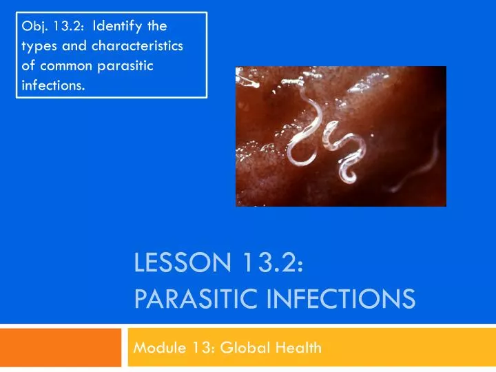 Ppt Lesson 13 2 Parasitic Infections Powerpoint Presentation Free