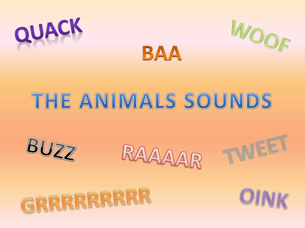 PPT - THE ANIMALS SOUNDS PowerPoint Presentation, free download - ID:2123721