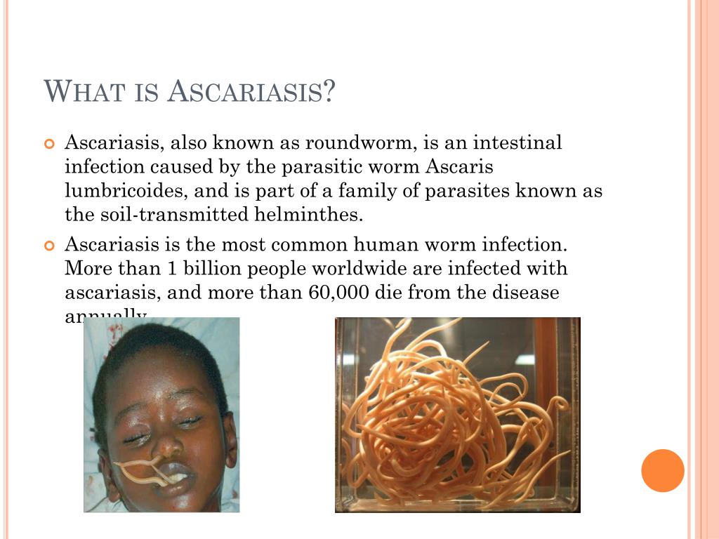 Ascaris Disease