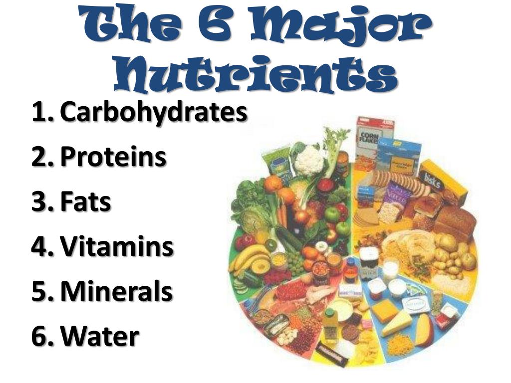 6 Types Of Nutrients