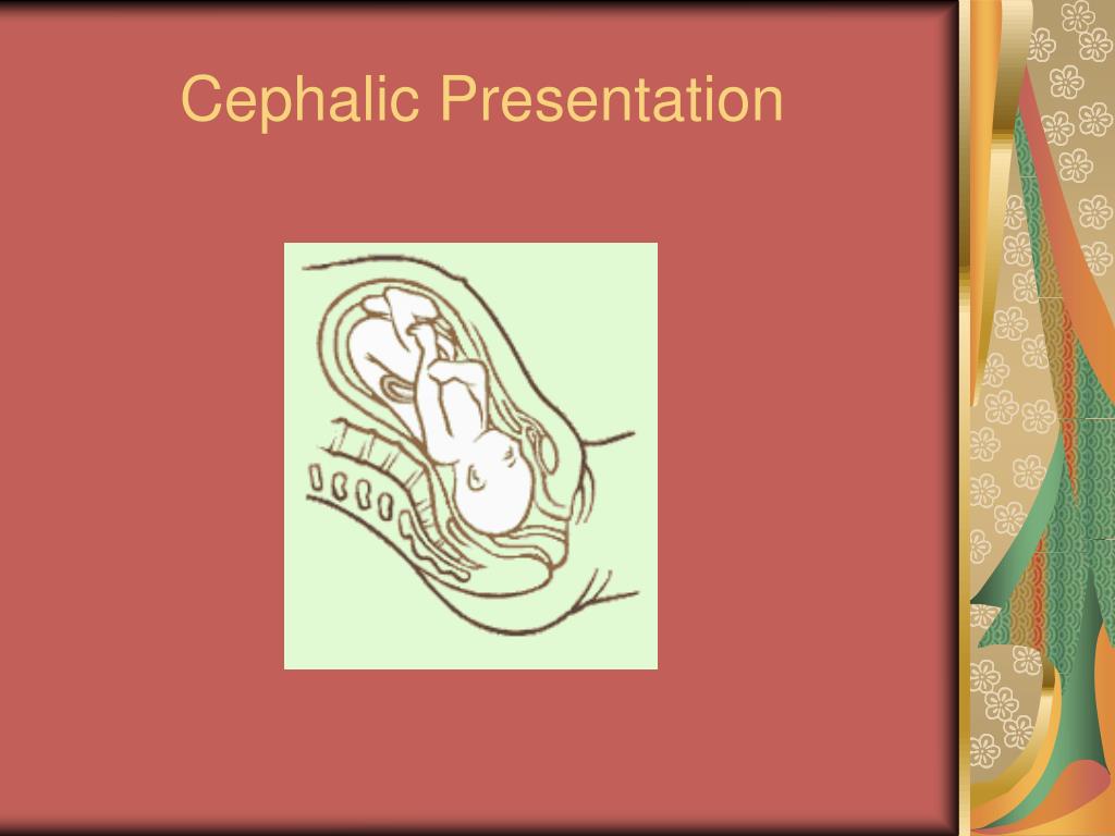 PPT Labor Delivery And Changes At Birth PowerPoint Presentation 