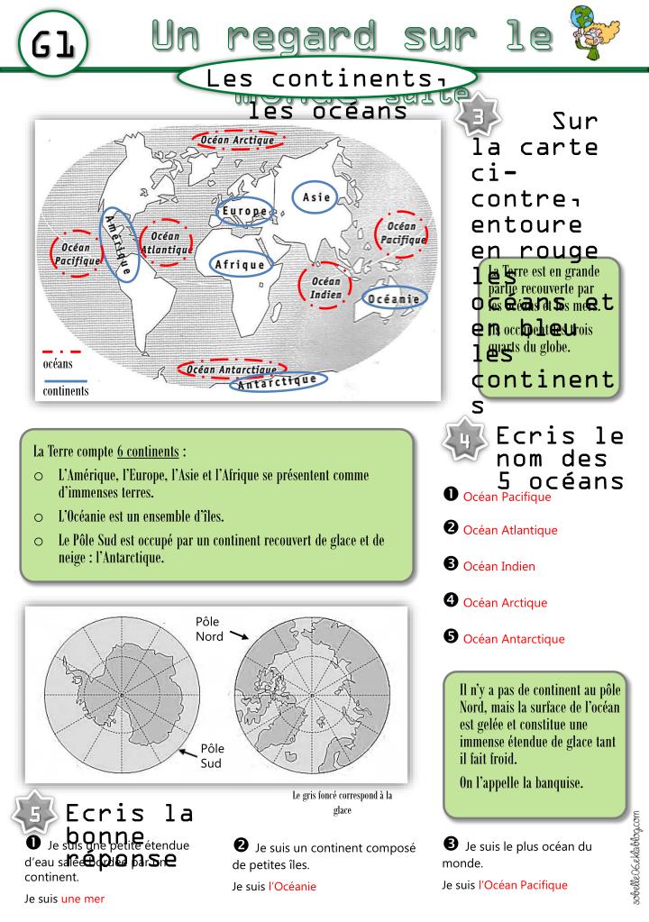 L'Évolution de la Spinologie : Un Regard sur le Monde en 2024