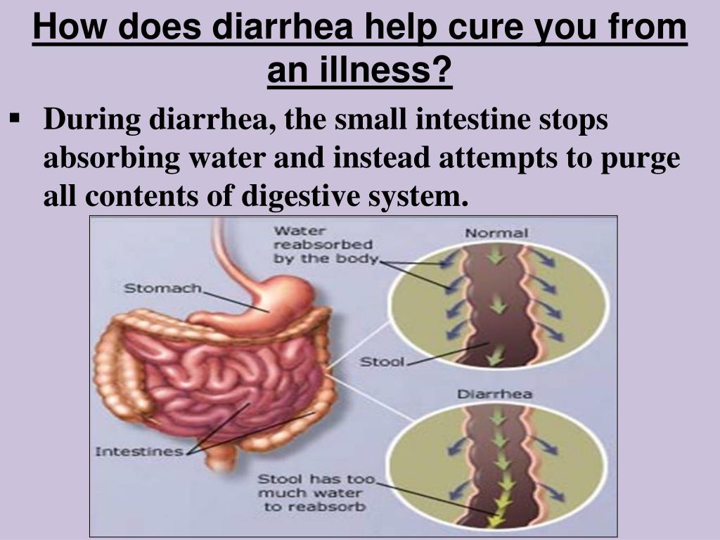 PPT - Biology Journal 10/1/2013 PowerPoint Presentation, free download ...