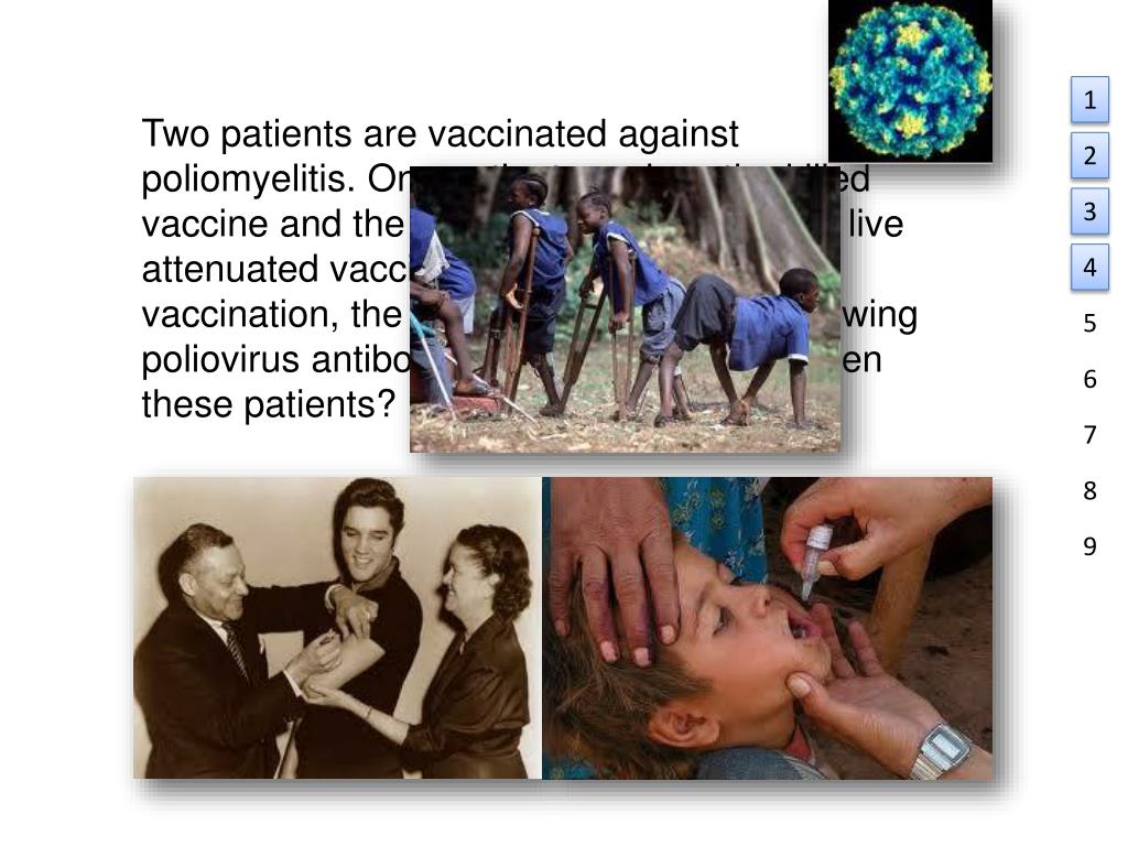 PPT - Immunology #10-11 Antibodies and Antigens II PowerPoint ...