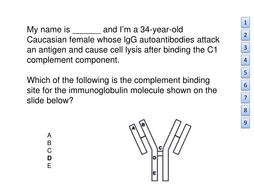 PPT - Immunology #10-11 Antibodies and Antigens II PowerPoint ...