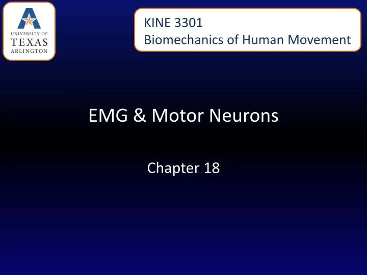 PPT EMG & Motor Neurons PowerPoint Presentation, free download ID
