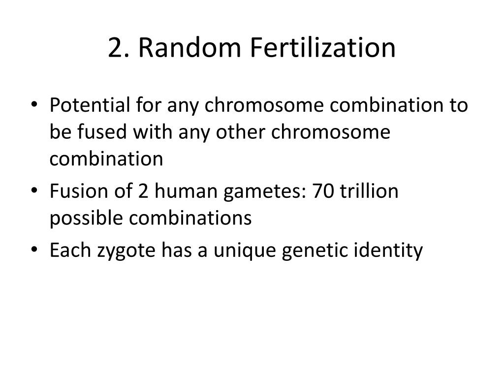 PPT - Understanding Meiosis and Sexual Life Cycles in Cellular ...