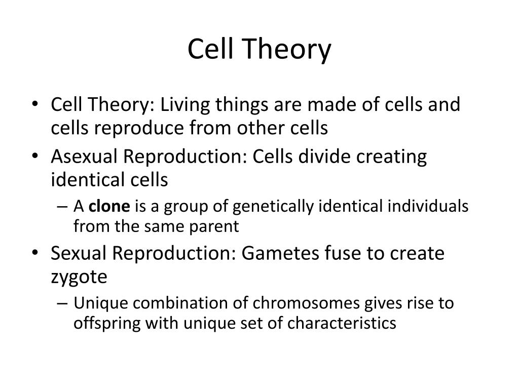 PPT - Understanding Meiosis and Sexual Life Cycles in Cellular ...