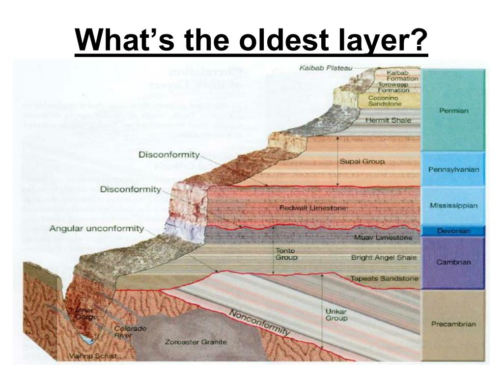 index fossils dating rock layers index fossils dating rock layers
