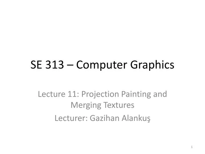 se 313 computer graphics n.