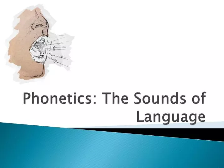 PPT - Phonetics: The Sounds Of Language PowerPoint Presentation, Free ...