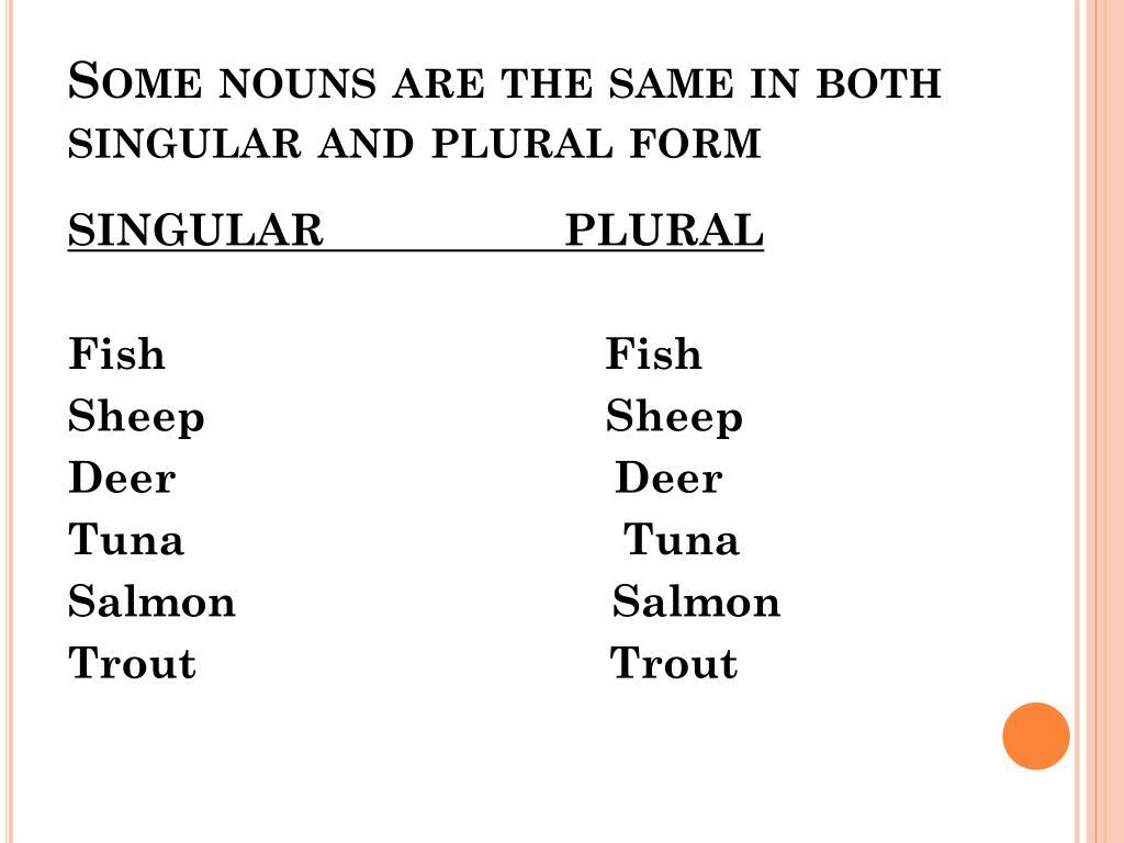 plural-form-of-fish-in-english-eayan