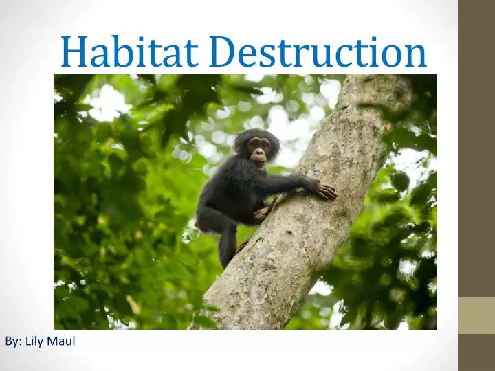 habitat destruction n.