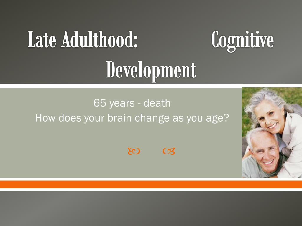 cognitive development in late adulthood essay