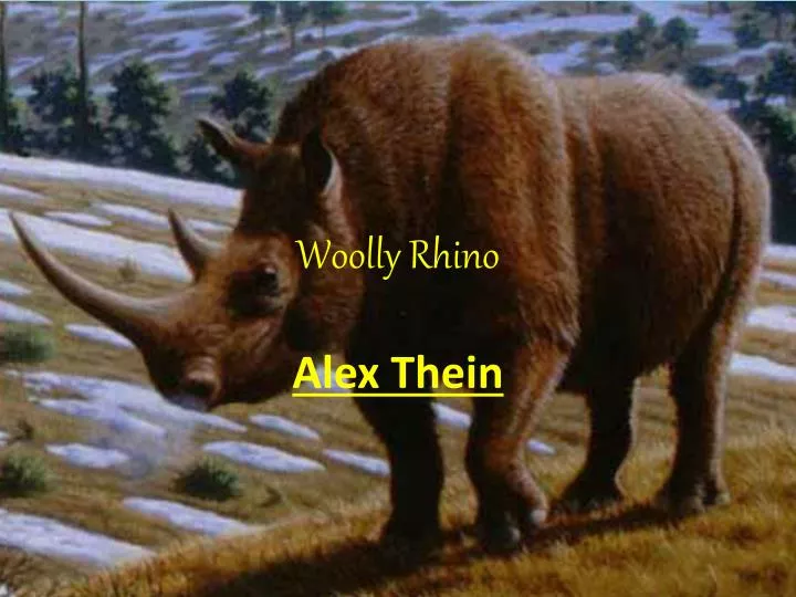 woolly rhino n.