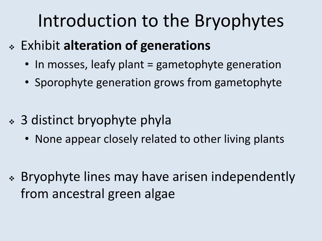 PPT - Introduction To The Plant Kingdom: Bryophytes PowerPoint ...