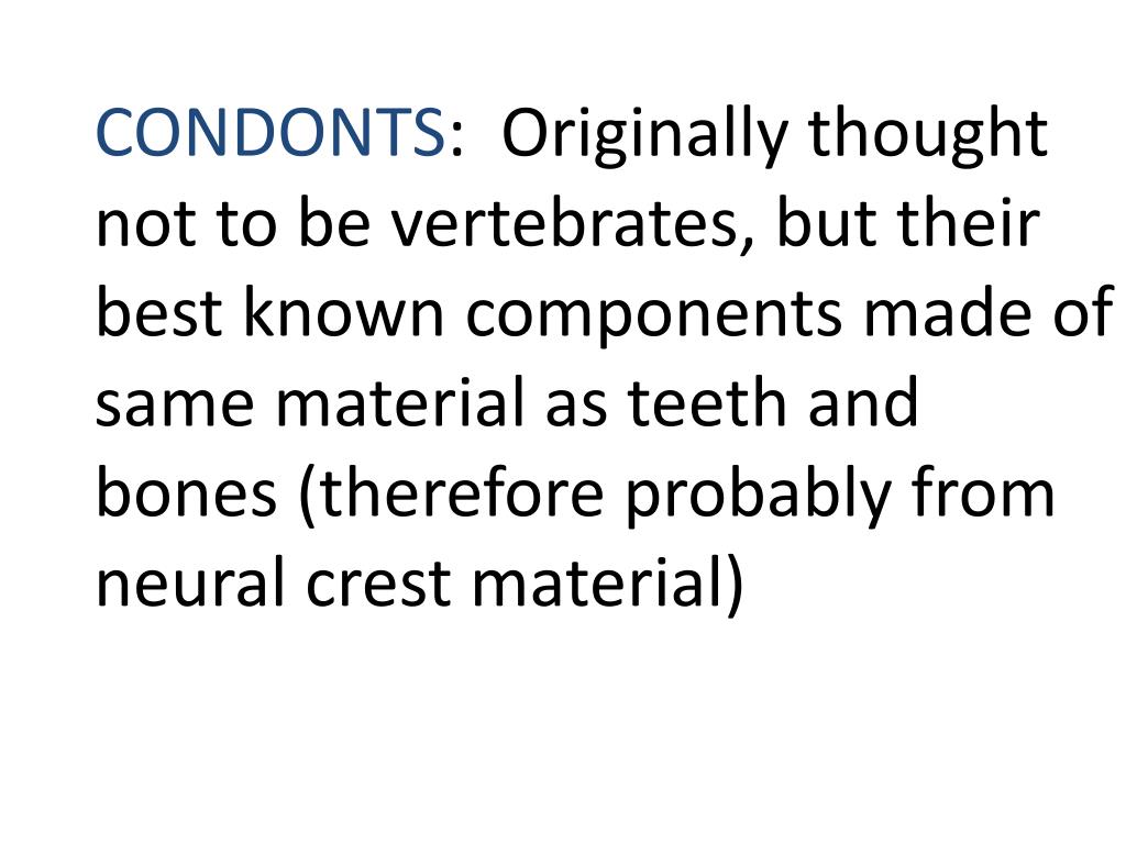 PPT - Stuart S. Sumida Biology 342 ( Simplified) Phylogey of Fishes ...