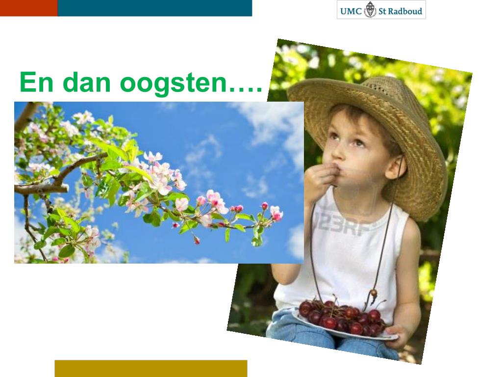 PPT - Een nieuwe lente een nieuw geluid…. ( Mei , Gorter 1889