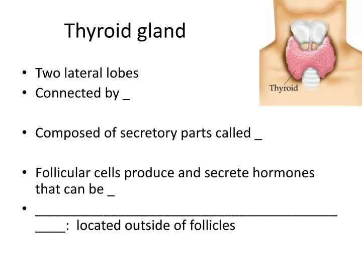 PPT Thyroid Gland PowerPoint Presentation Free Download ID 2132857 ppt-thyroid-gland-powerpoint-presentation-free-download-id-2132857
