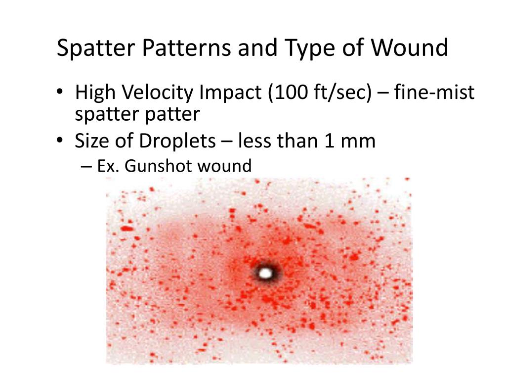 PPT - Analyzing Blood Splatter PowerPoint Presentation, free download