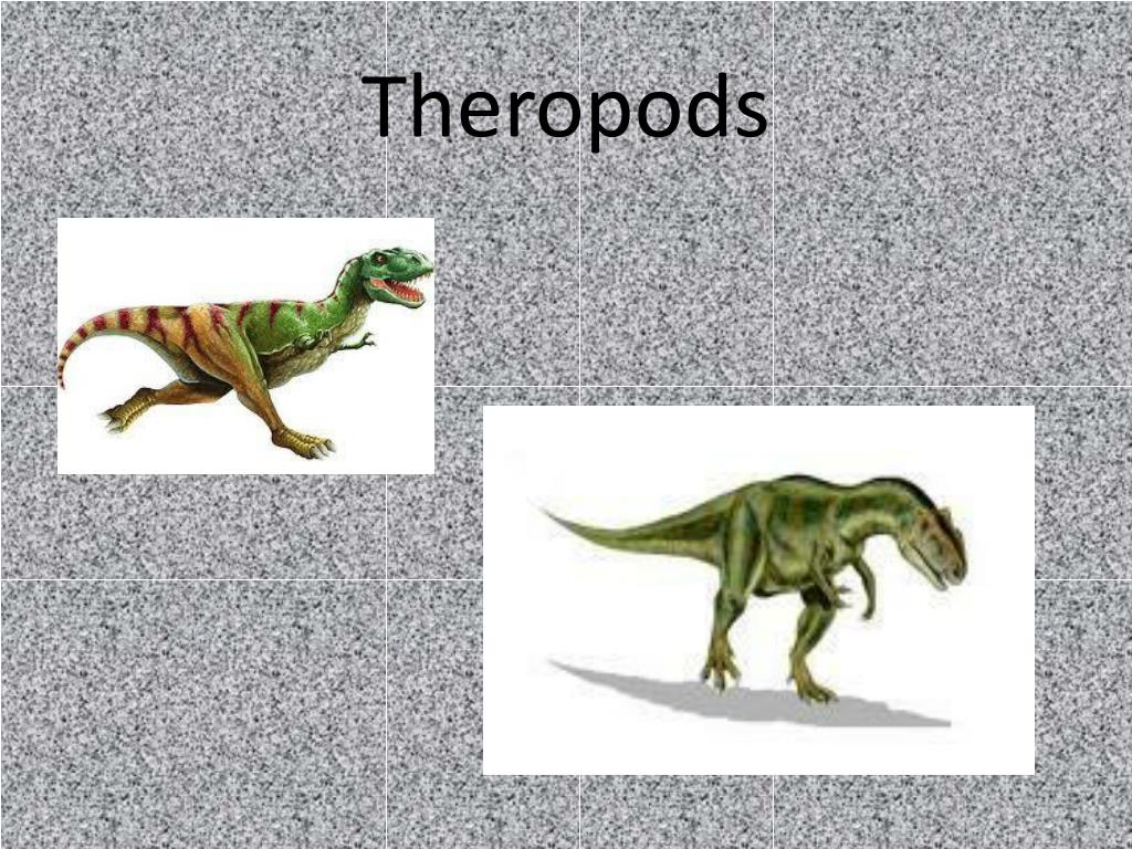 theropods list