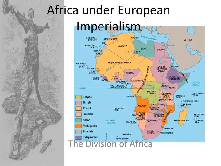 impact european imperialism africa Get an answer for 'what are the effects of imperialism on our world todaywhat are the effects of imperialism on our world today' and find homework help for other history questions at enotes. impact european imperialism africa Get an answer for 'what are the effects of imperialism on our world todaywhat are the effects of imperialism on our world today' and find homework help for other history questions at enotes.